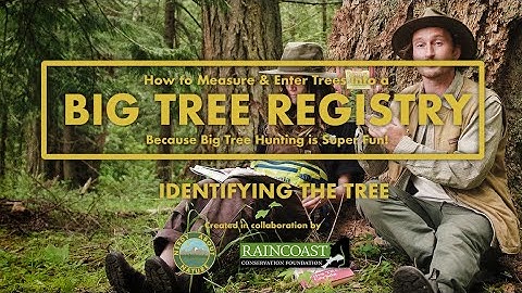How to measure and enter trees into a Big Tree Registry - Identify the tree