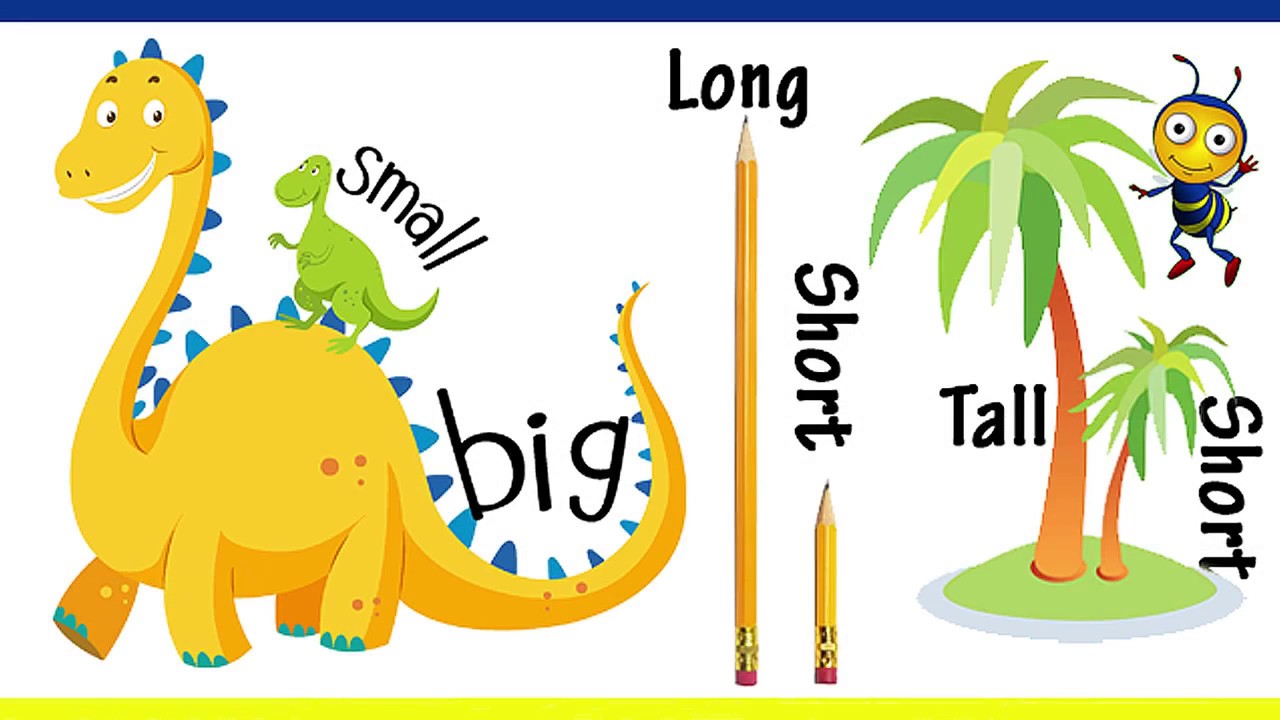 Adjective fat. Big small long short. Длинный for Kids. Big and small Tall short long. Карточки opposites.