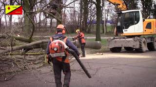 Bomenkap Route A2 Febr 2020