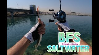 Easiest Way to Catch Fish! BFS Saltwater (Shimano Aldebaran) 