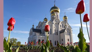 Прямая трансляция 19.05.24 в 9:00 ч. Неделя Жен-мироносиц