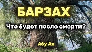 Что будет после смерти Барзах 1