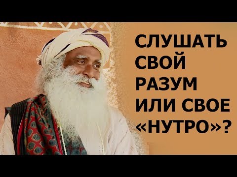 Вопрос: Как прояснить свой разум?