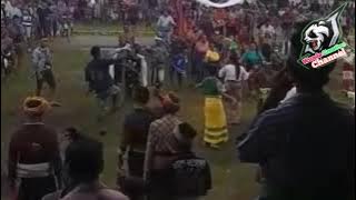 Download lagu Acara Penguburan di Sumba Barat Daya ||Tanggaba