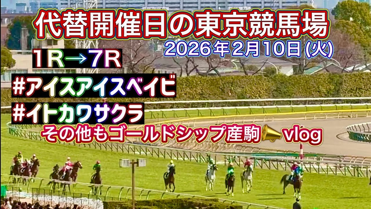 🏇実費は交通費だけ⁉️で楽しめた代替開催日｜東京競馬場が雪で開催が平日になった日｜🎬