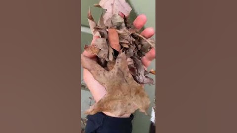 Transforming my jon boat into a bass boat! Pt.1