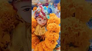 Jay Sri krishna❤❤ shortsyoutube reels minivlog janmashtami banglavlog shortsfeed