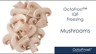 OctoFrost™ Frozen - IQF vegetables: Mushrooms