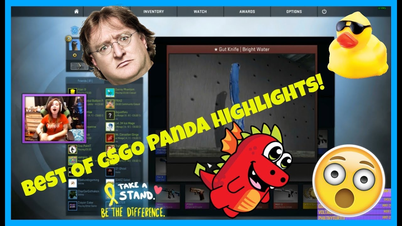 Best Of CSGO Panda Highlights PT.2! :DD ♥