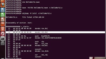 027 helloworld shellcode stack technique