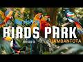 Exploring Hambantota Like Never Before 🇱🇰 | salt-processing unit, Bird Park Hambantota + Pool Day ✨