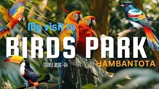 Exploring Hambantota Like Never Before 🇱🇰 | salt-processing unit, Bird Park Hambantota + Pool Day ✨