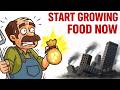 Before Food Prices Explode: 11 Plants & Soil Secrets You Need