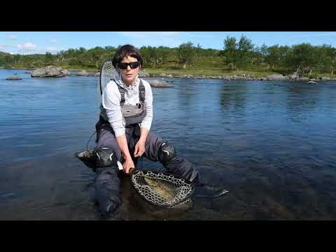 Воды тысячи форелей. Проект Пятна. Часть первая: Речные пятна.