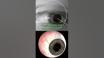 Ultra High Fidelity 3D Eye Tracking