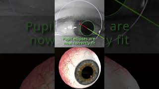 Ultra High Fidelity 3D Eye Tracking