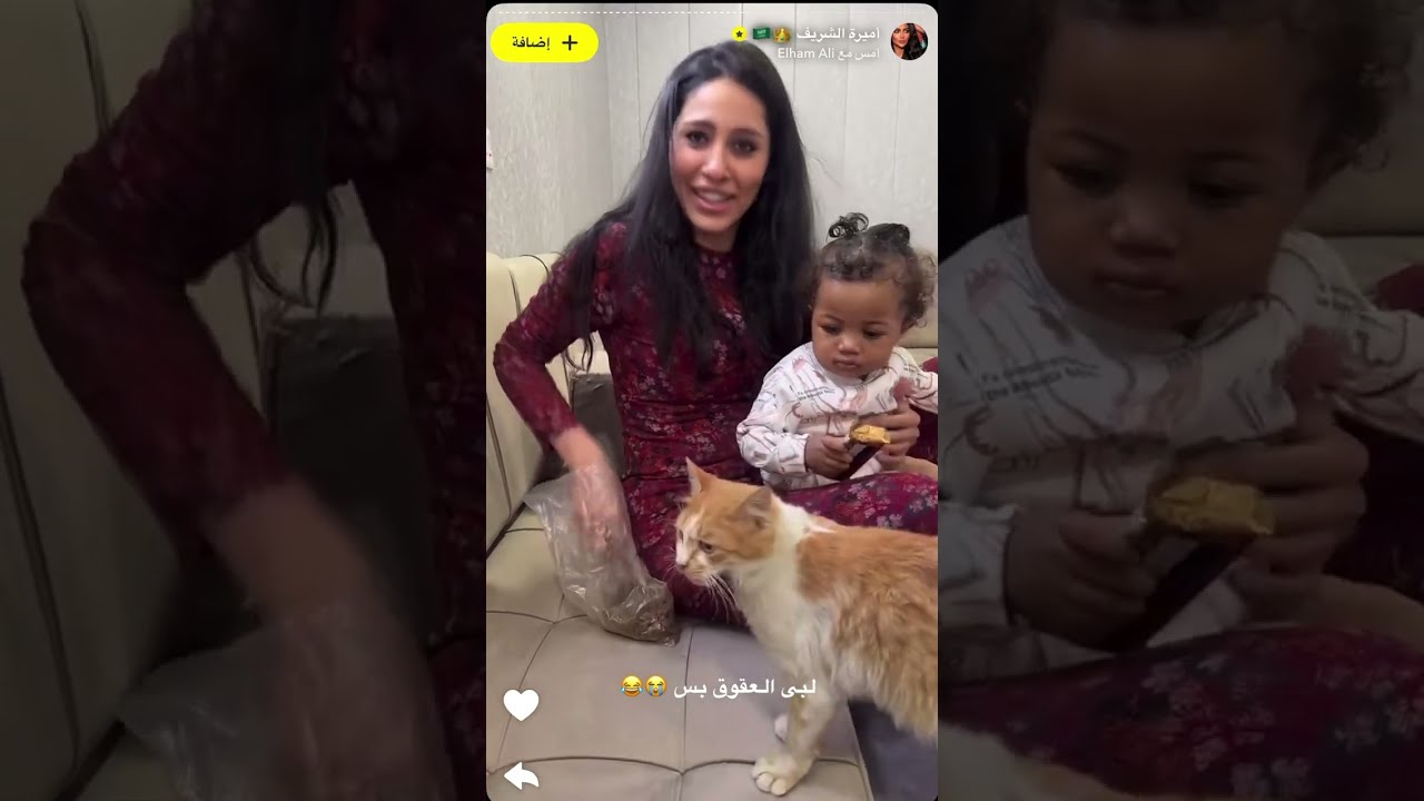 اميره الشريف 