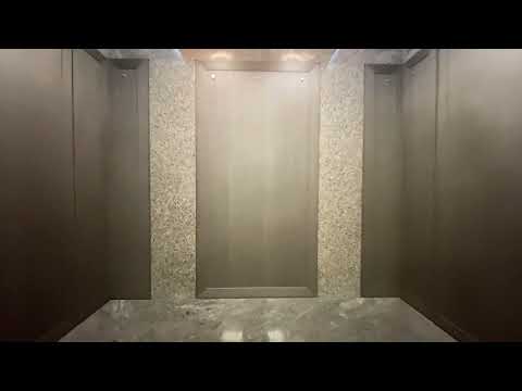 Interior elevator wall wrap walking out