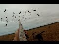 Chasse canards et outardes 