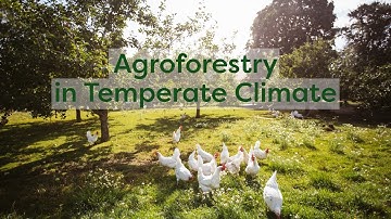 How to finance agroforestry systems in Europe (5/6)