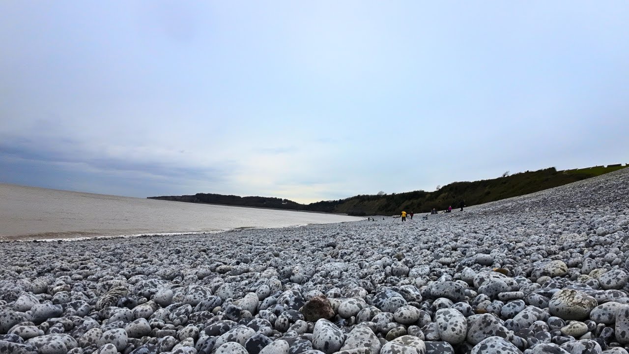 New Mark Cold Knap Fishing  | 