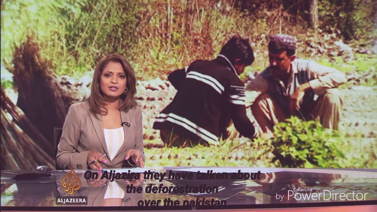 A target to grow more and more trees in pakistan (reforestration).