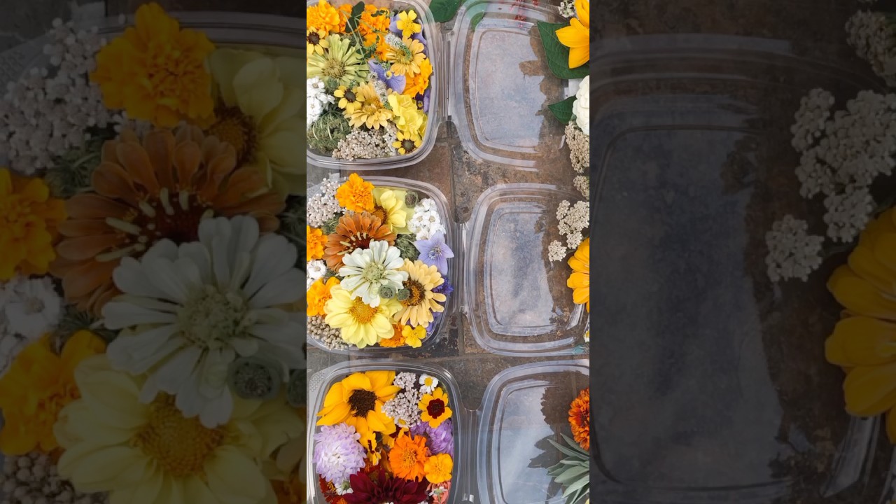 Woodland Theme Edible Flowers 