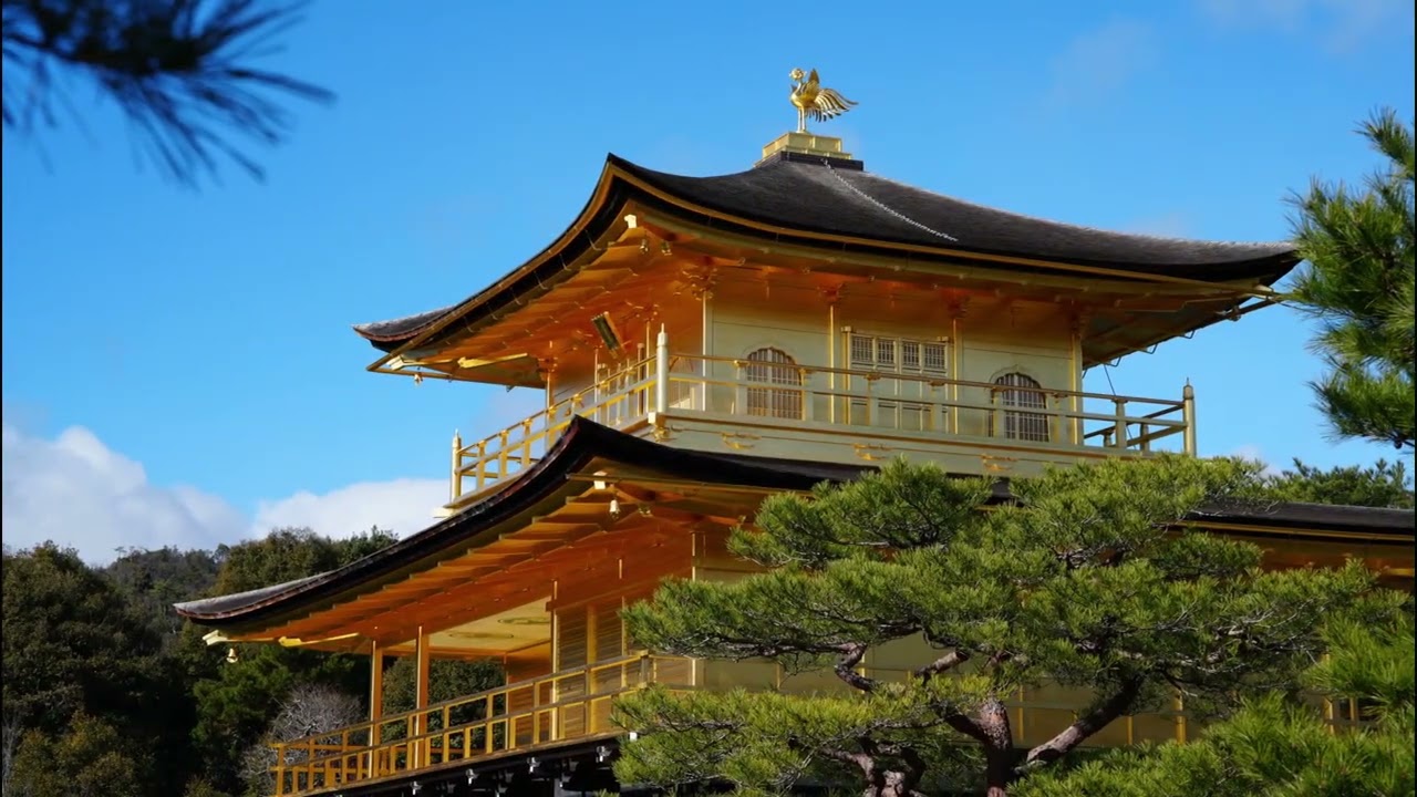 2026/1/22｜雪の金閣寺｜サン＝サーンス《サムソンとデリラ》 「あなた