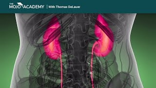 Perhaps you're worried about kidney stones on keto, or whether too
much protein is bad for your kidneys. thomas delauer, celebrity health
and fitness coach, ...