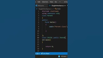 Single inheritance in C++