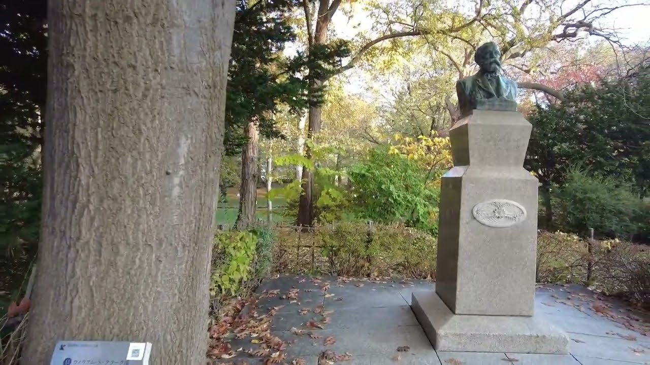 北海道大学をぶらつきながら秋を楽しむ。銀杏並木など。