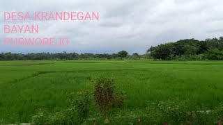 Desa Krandegan Kec Bayan//Purworejo//Kampung Halaman Ku