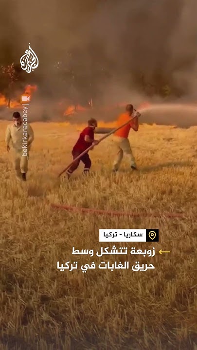         
 - نشر قبل 29 دقيقة
