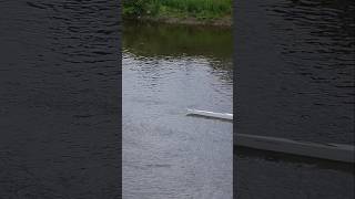 #river #rowing #riversevern #peaceful #riverside