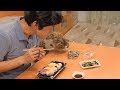 パパと子猫、初めての2人だけの甘い生活 (前編)