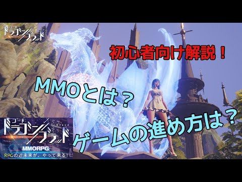 【初心者向け】MMOとはなんぞや？ドラブラの世界の歩き方！【コード：ドラゴンブラッド】