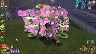 Wizard101 Pink Dandelion Mature Harvest