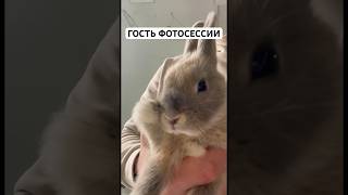 Гость фотосессии … зимний фотопроект продолжается