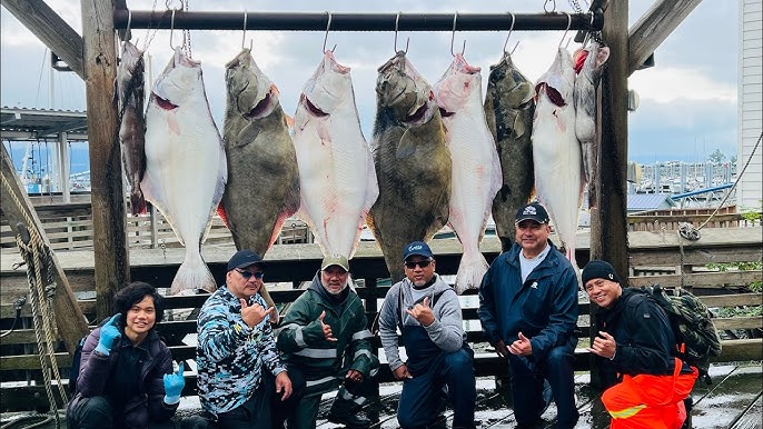 Halibut Fishing the Gulf of Alaska 