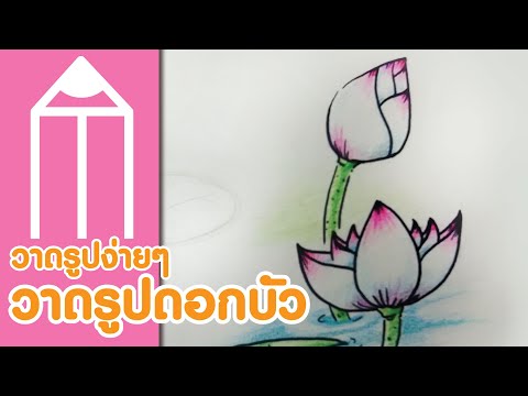 EP028 วาดรูปง่ายๆ วาดดอกบัว