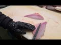 High skill of filleting a red sea bream (pink dorada)