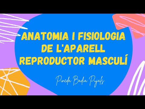 Vídeo: L’aparell Reproductor. Opinió Del Psicòleg