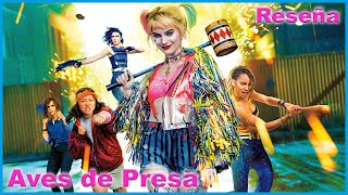 Aves De Presa Buena Pero No Tanto