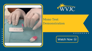 Mono Test Demonstration