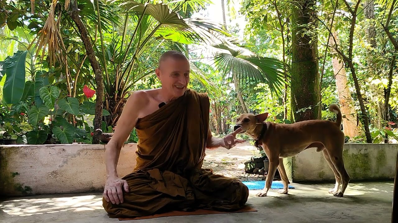 HOW to LIVE LIKE a MONK