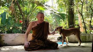 HOW to LIVE LIKE a MONK