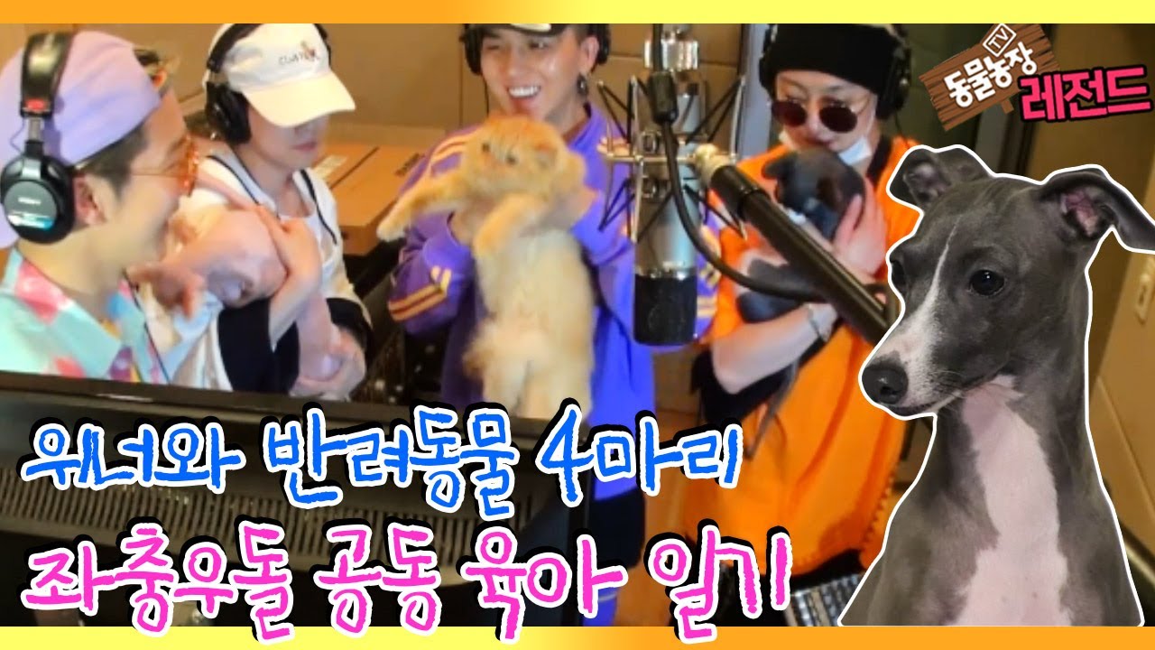 [TV 동물농장 레전드] ‘위너의 real 공동 육아 일기’ 마지막화 풀버전 다시보기 I TV동물농장 (Animal Farm) | SBS Story