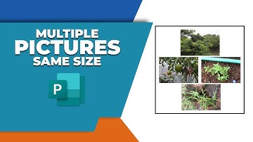 How to make multiple pictures same size in Publisher