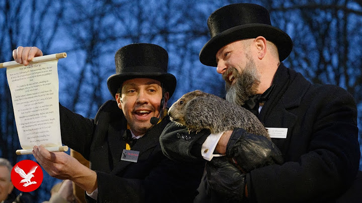 Phil the groundhog makes his 2025 weather predictions