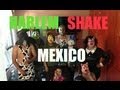 Harlem Shake - Whole Family (Zacatecas, Mexico)